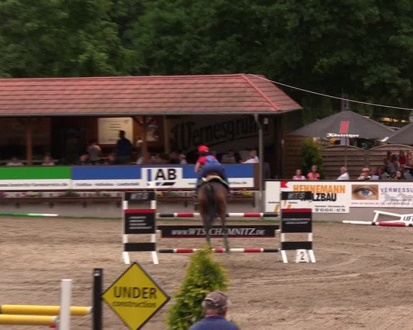 Reitturnier Lgl.-Oberhain, B95 2019