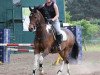 dressage horse Kleiner (German Riding Pony, 2008, from Nightflight)