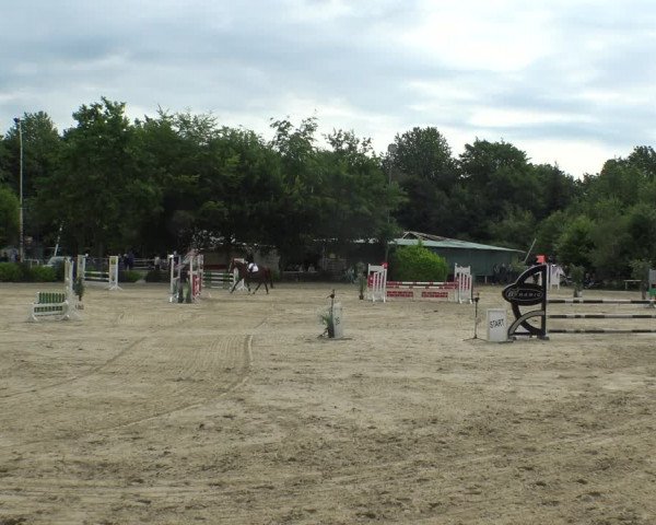 Reitturnier Bochum-Nord 2019