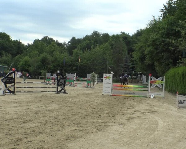 Reitturnier Bochum-Nord 2019