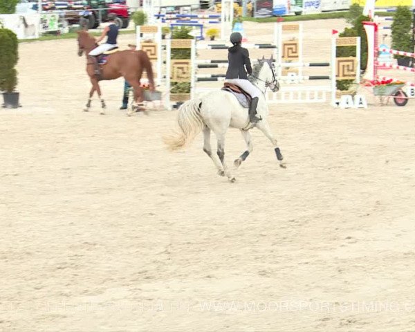 Reitturnier Plaffeien 2019