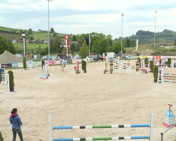 Reitturnier Plaffeien 2019