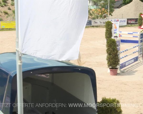 Reitturnier Plaffeien 2019
