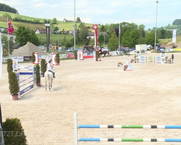 Reitturnier Plaffeien 2019