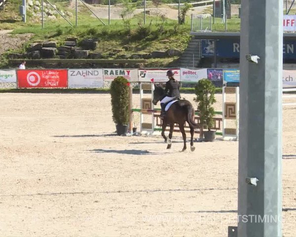 Reitturnier Plaffeien 2019