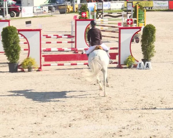 Reitturnier Plaffeien 2019