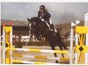 jumper Edna 11 (Hanoverian, 2006, from Edgar)