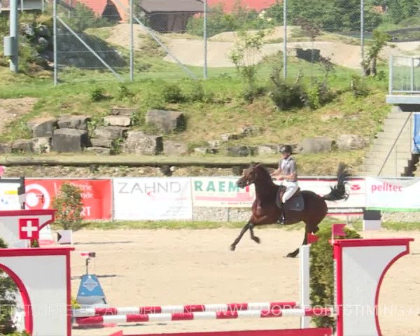 Reitturnier Plaffeien 2019