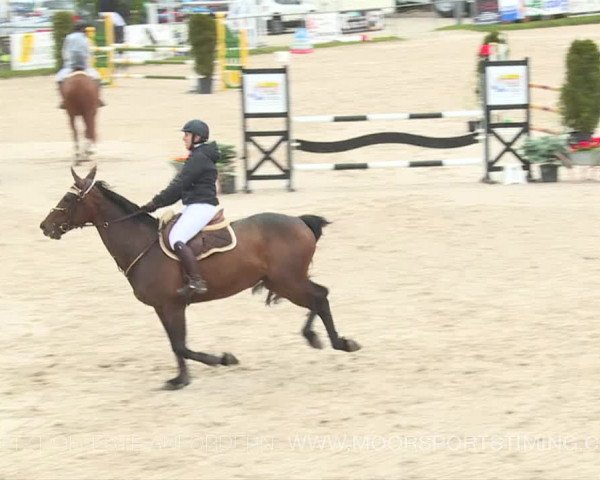 Reitturnier Plaffeien 2019