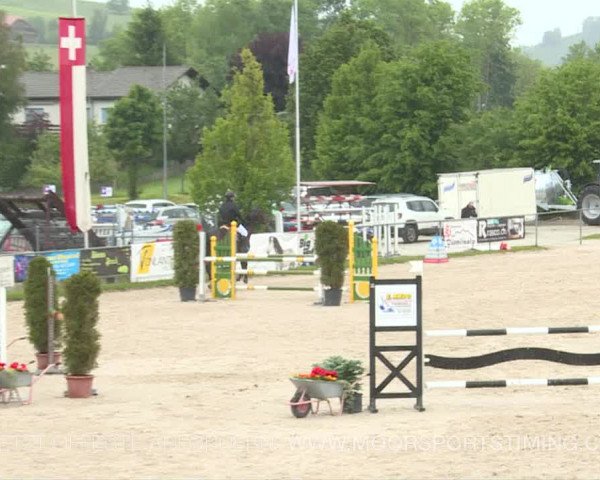 Reitturnier Plaffeien 2019