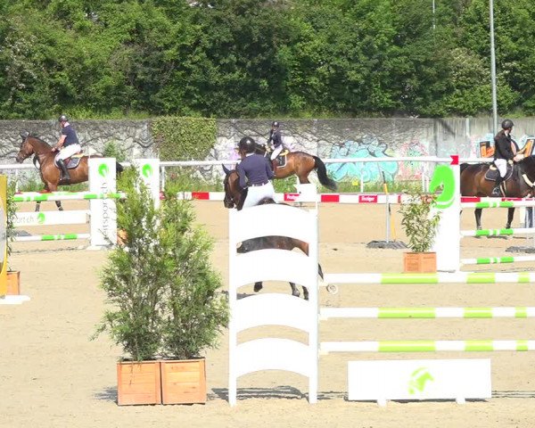 Reitturnier Münsingen 2019