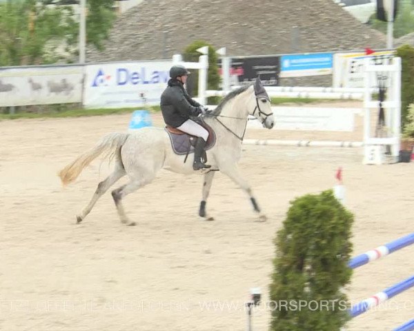 Reitturnier Plaffeien 2019