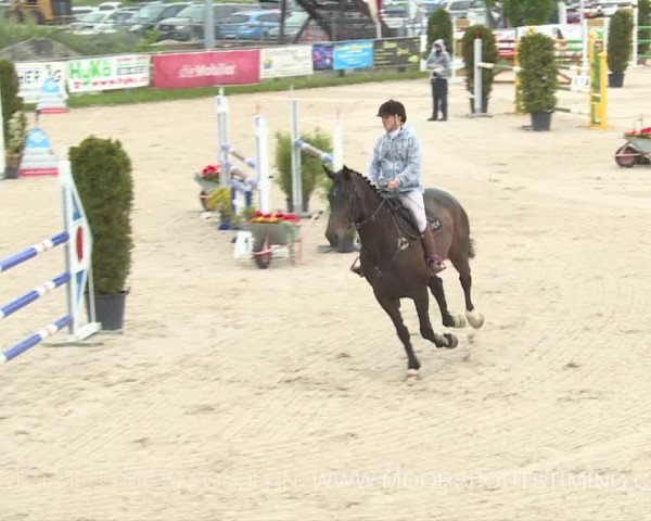 Reitturnier Plaffeien 2019