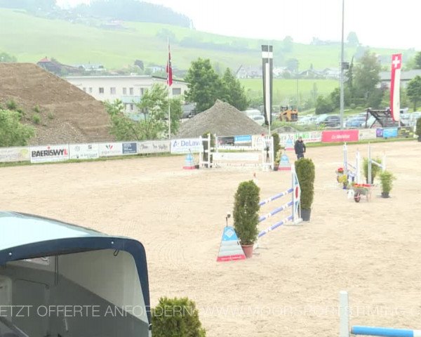 Reitturnier Plaffeien 2019