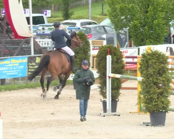 Reitturnier Plaffeien 2019