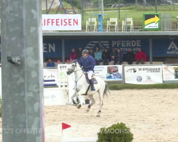 Reitturnier Plaffeien 2019