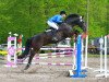 jumper Taylor 21 (Polish Warmblood, 2006, from Granilli S)