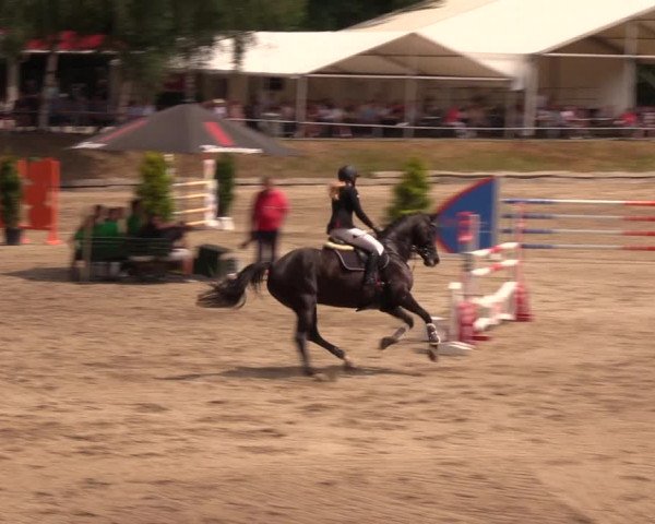 Reitturnier Lgl.-Oberhain, B95 2019