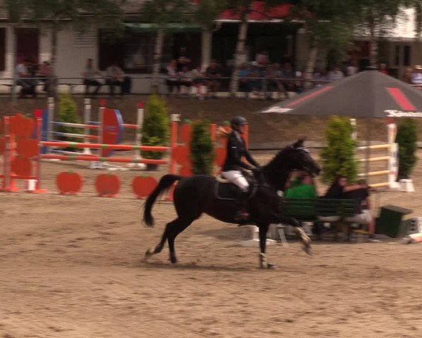 Reitturnier Lgl.-Oberhain, B95 2019