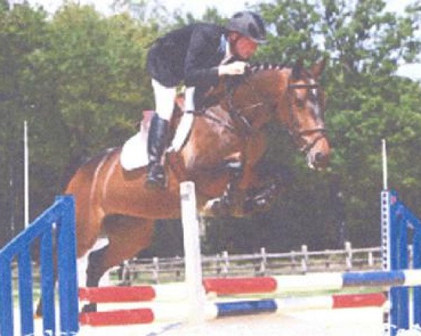 broodmare Vip Bogibo (KWPN (Royal Dutch Sporthorse), 2002, from Pacific)
