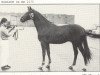 stallion Earldom xx (Thoroughbred, 1961, from Mossborough xx)