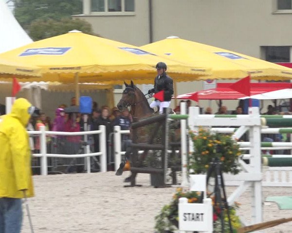 Reitturnier Zug 2019