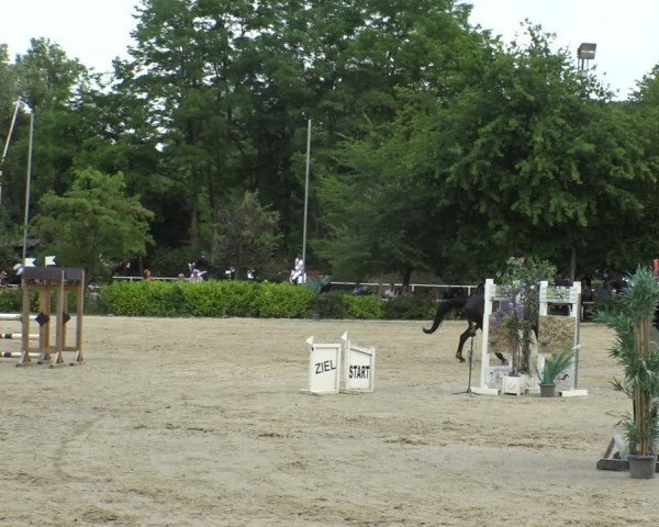 Reitturnier Bochum-Nord 2019