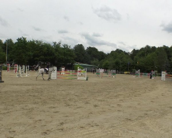 Reitturnier Bochum-Nord 2019