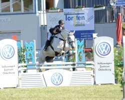 jumper Feodina (KWPN (Royal Dutch Sporthorse), 2010, from Zacharov Tn)