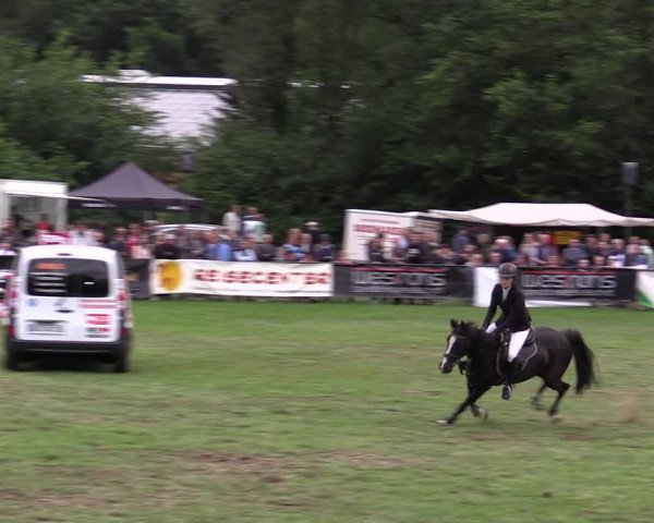 Reitturnier Borken 2019