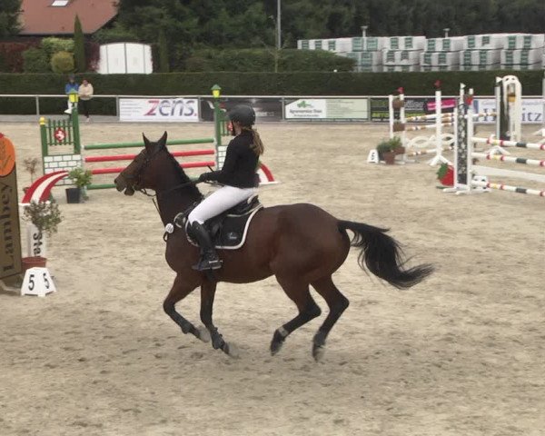 Reitturnier Durmersheim-Hardt 2021