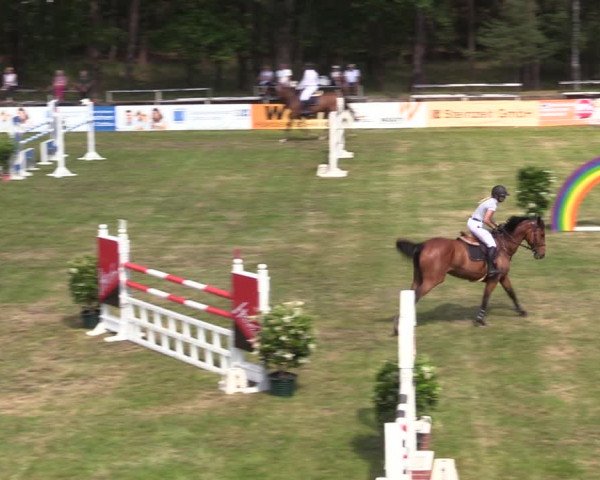 Reitturnier Cottbus-Sielow 2019