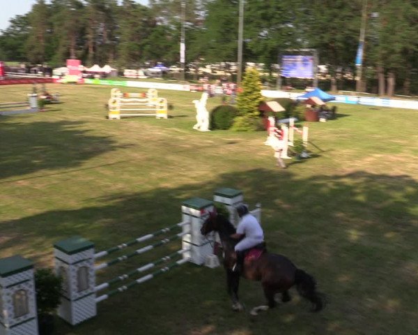 Reitturnier Cottbus-Sielow 2019