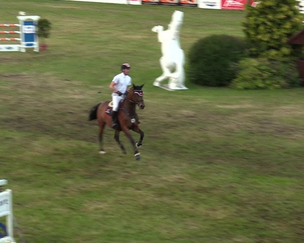 Reitturnier Cottbus-Sielow 2019