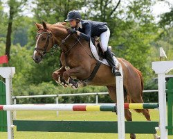 broodmare For Success 4 (Oldenburg show jumper, 2008, from For Pleasure)