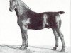 stallion Ritter (Oldenburg, 1916, from Roland 2356)