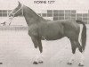 broodmare Ivonne (KWPN (Royal Dutch Sporthorse), 1967, from Baron 1197 Sgldt)