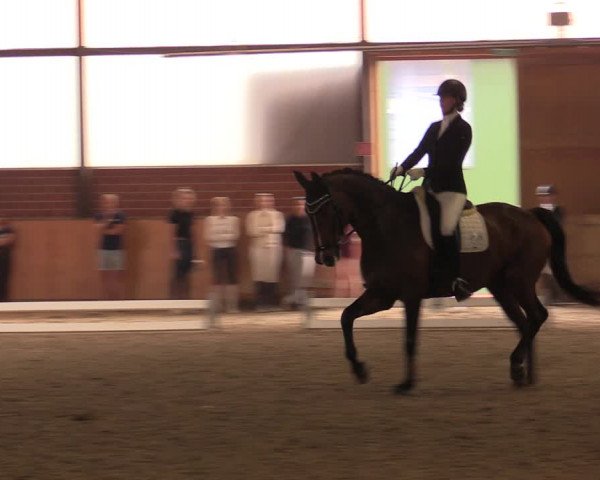 Reitturnier Iserlohn-Kalthof 2019