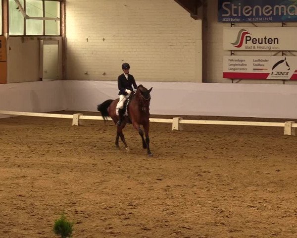 Reitturnier Borken 2019