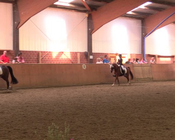 Reitturnier Iserlohn-Kalthof 2019