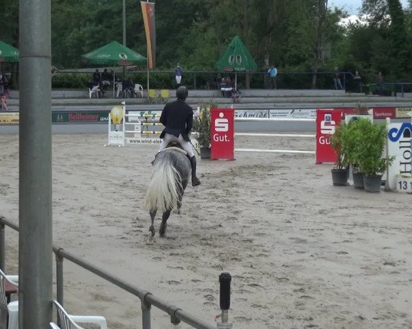 Reitturnier Zeiskam 2019