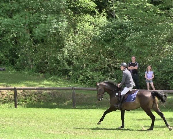 Reitturnier Jettingen 2019