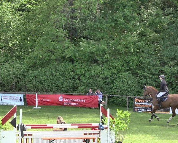 Reitturnier Jettingen 2019