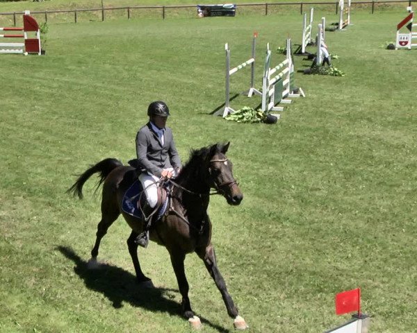 Reitturnier Jettingen 2019