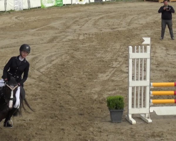 Reitturnier Frechen-Grefrath - Sonnenhof 2019