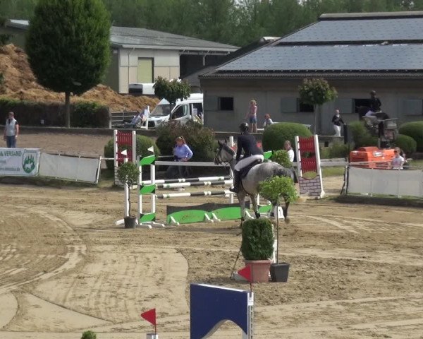 Reitturnier Frechen-Grefrath - Sonnenhof 2019