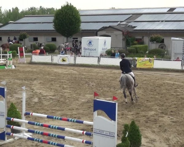 Reitturnier Frechen-Grefrath - Sonnenhof 2019