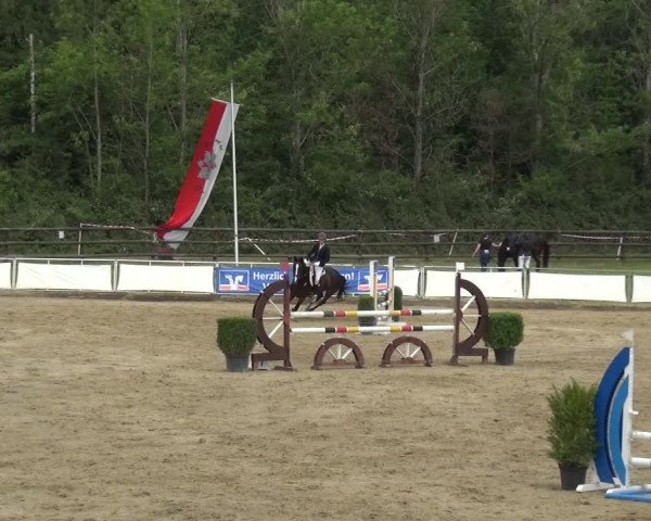Reitturnier Frechen-Grefrath - Sonnenhof 2019
