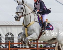 jumper Baussy Jones (Irish Sport Horse, 1997, from Dow Jones Courcel)