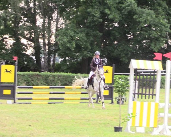 Reitturnier Wustrow 2019
